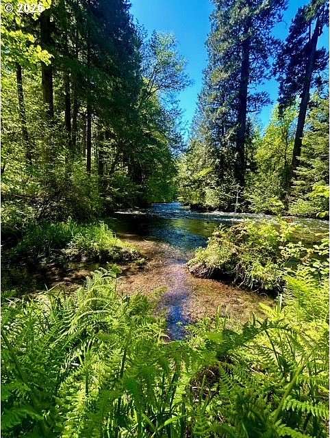 1.37 Acres of Residential Land for Sale in Blue River, Oregon