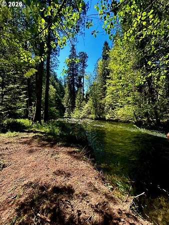 1.37 Acres of Residential Land for Sale in Blue River, Oregon