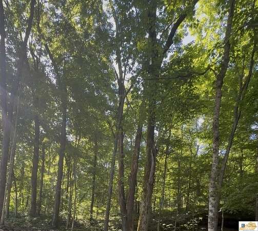 1 Acre of Land for Sale in Mammoth Cave, Kentucky