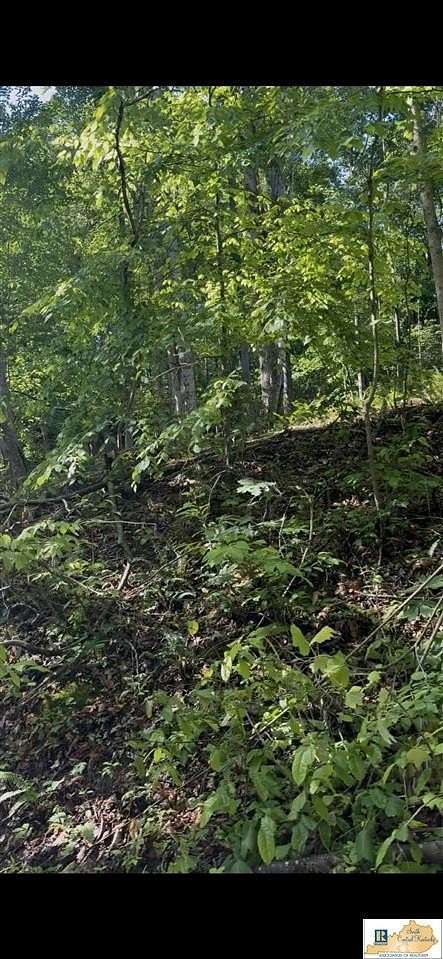 1.2 Acres of Land for Sale in Mammoth Cave, Kentucky