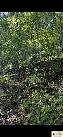 1.2 Acres of Land for Sale in Mammoth Cave, Kentucky