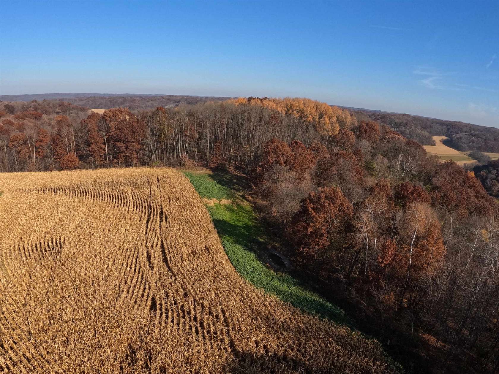 121 Acres of Land for Sale in Richland Center, Wisconsin