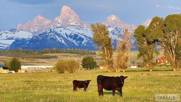 318 Acres of Land with Home for Sale in Felt, Idaho