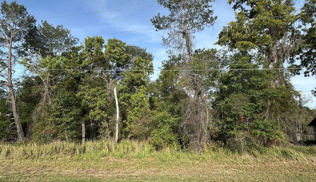 0.46 Acres of Residential Land for Sale in Ocala, Florida