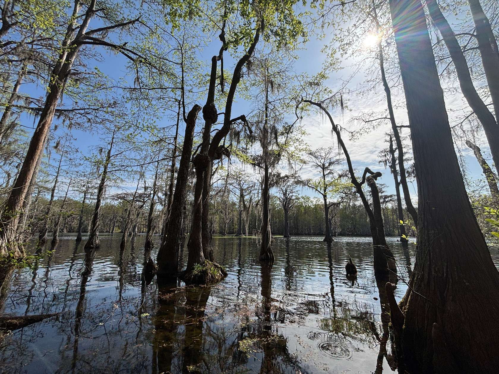 3.38 Acres of Residential Land for Sale in Lamar, South Carolina