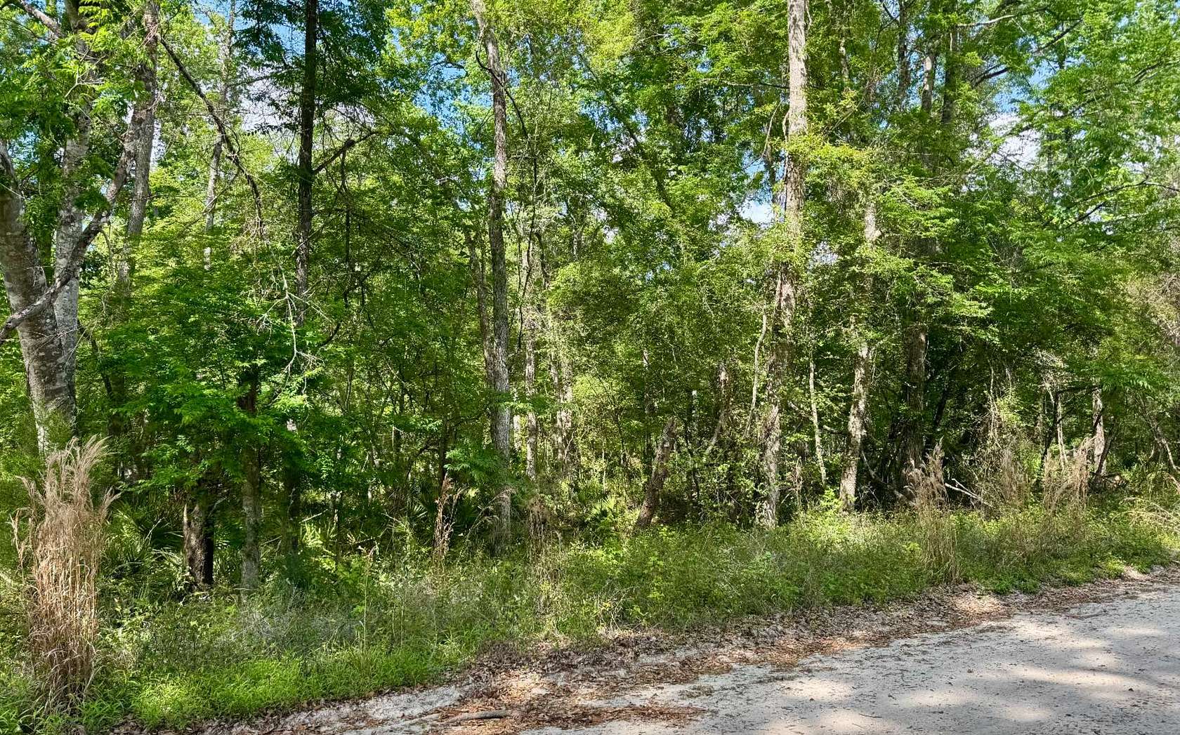 0.46 Acres of Residential Land for Sale in O'Brien, Florida