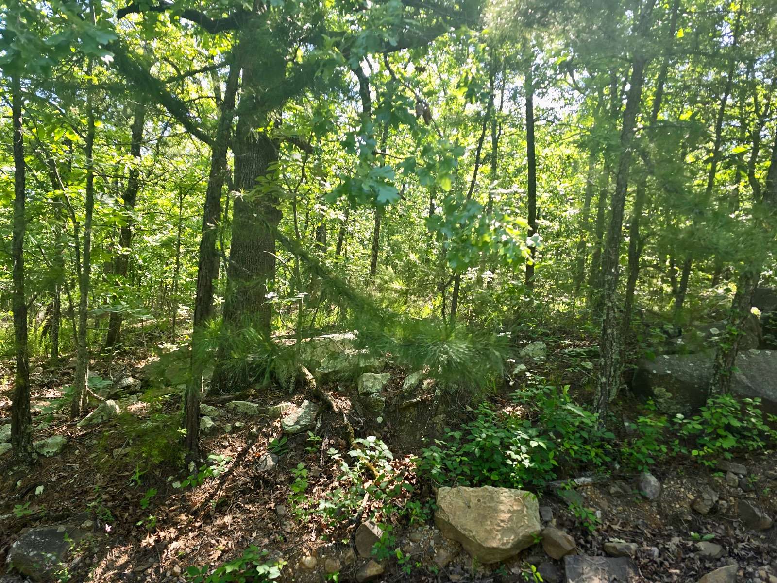 40 Acres of Recreational & Residential Land for Sale in Talihina, Oklahoma