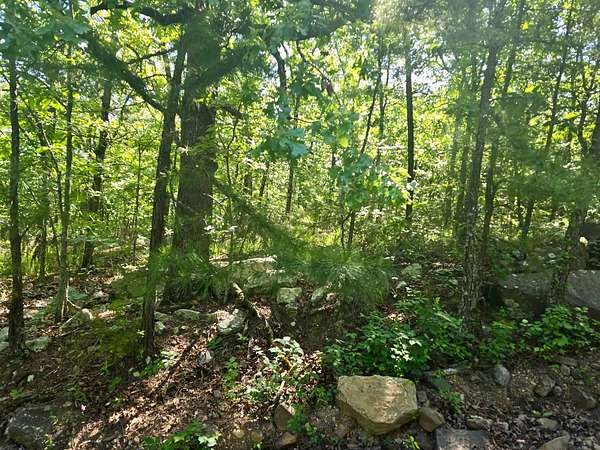 40 Acres of Recreational & Residential Land for Sale in Talihina, Oklahoma