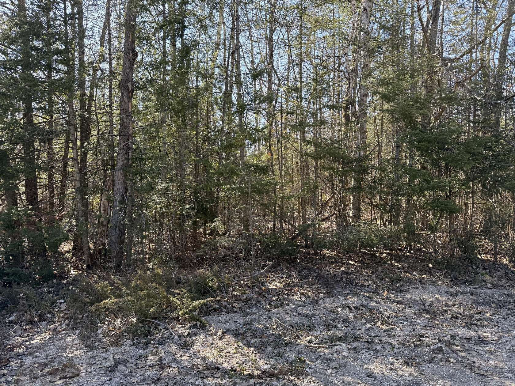 0.24 Acres of Land for Sale in Cheboygan, Michigan