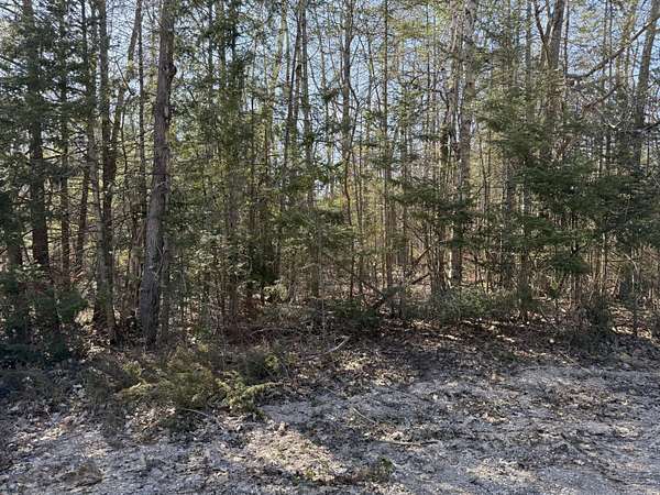 0.24 Acres of Land for Sale in Cheboygan, Michigan