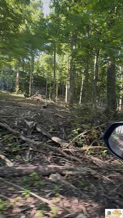 0.78 Acres of Land for Sale in Mammoth Cave, Kentucky