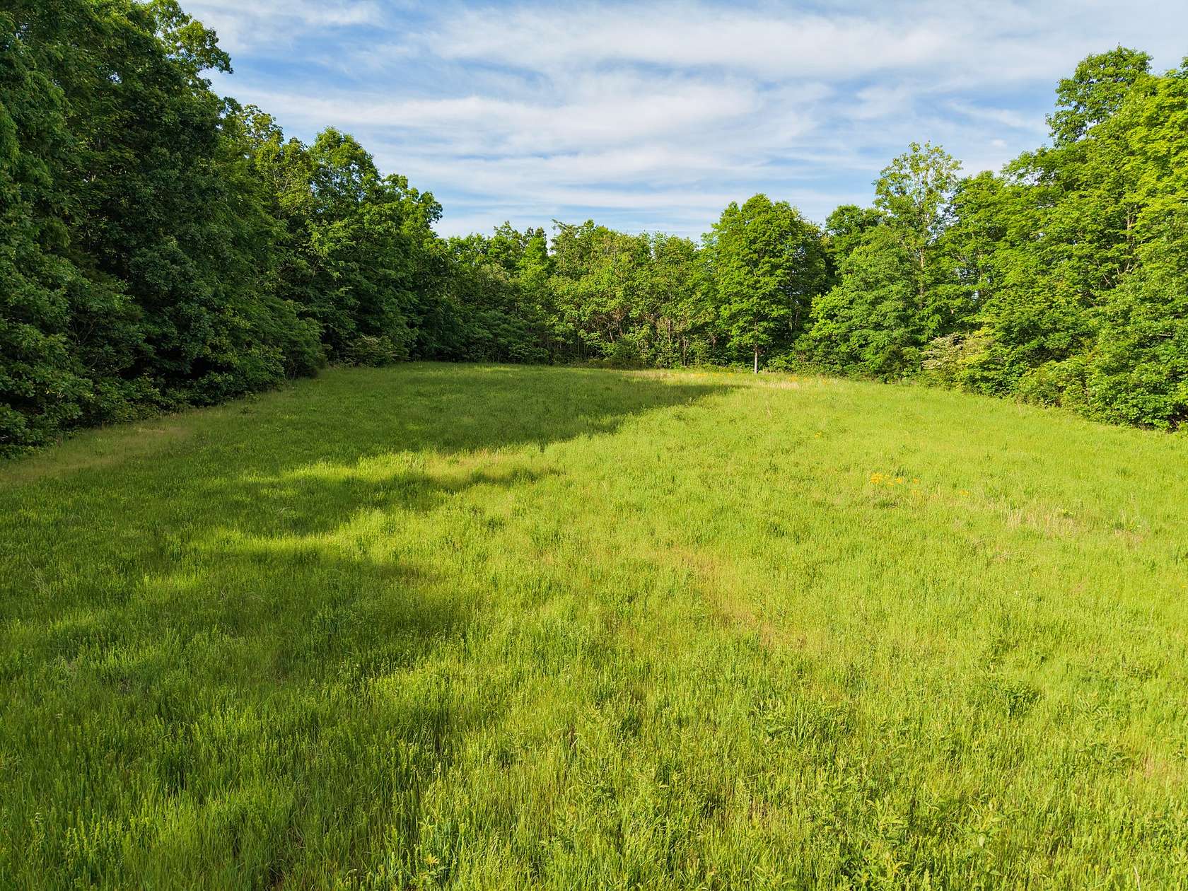 80 Acres of Land for Sale in Charlotte, Tennessee
