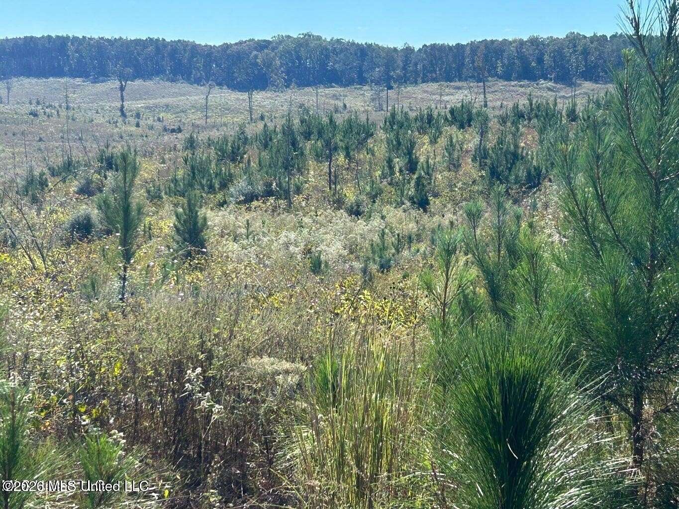 80 Acres of Land for Sale in Meridian, Mississippi