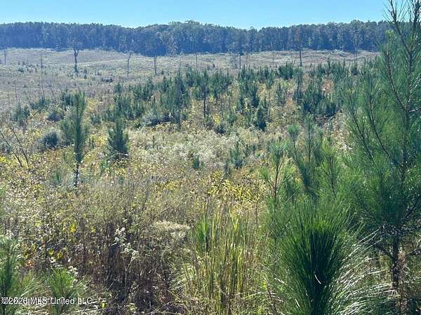 80 Acres of Land for Sale in Meridian, Mississippi