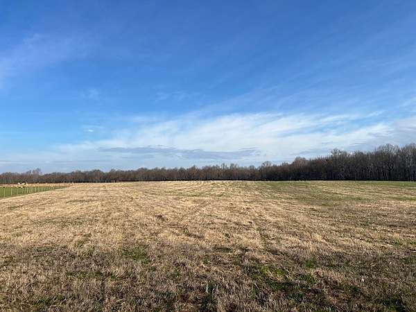 14 Acres of Land for Sale in Morrison, Tennessee