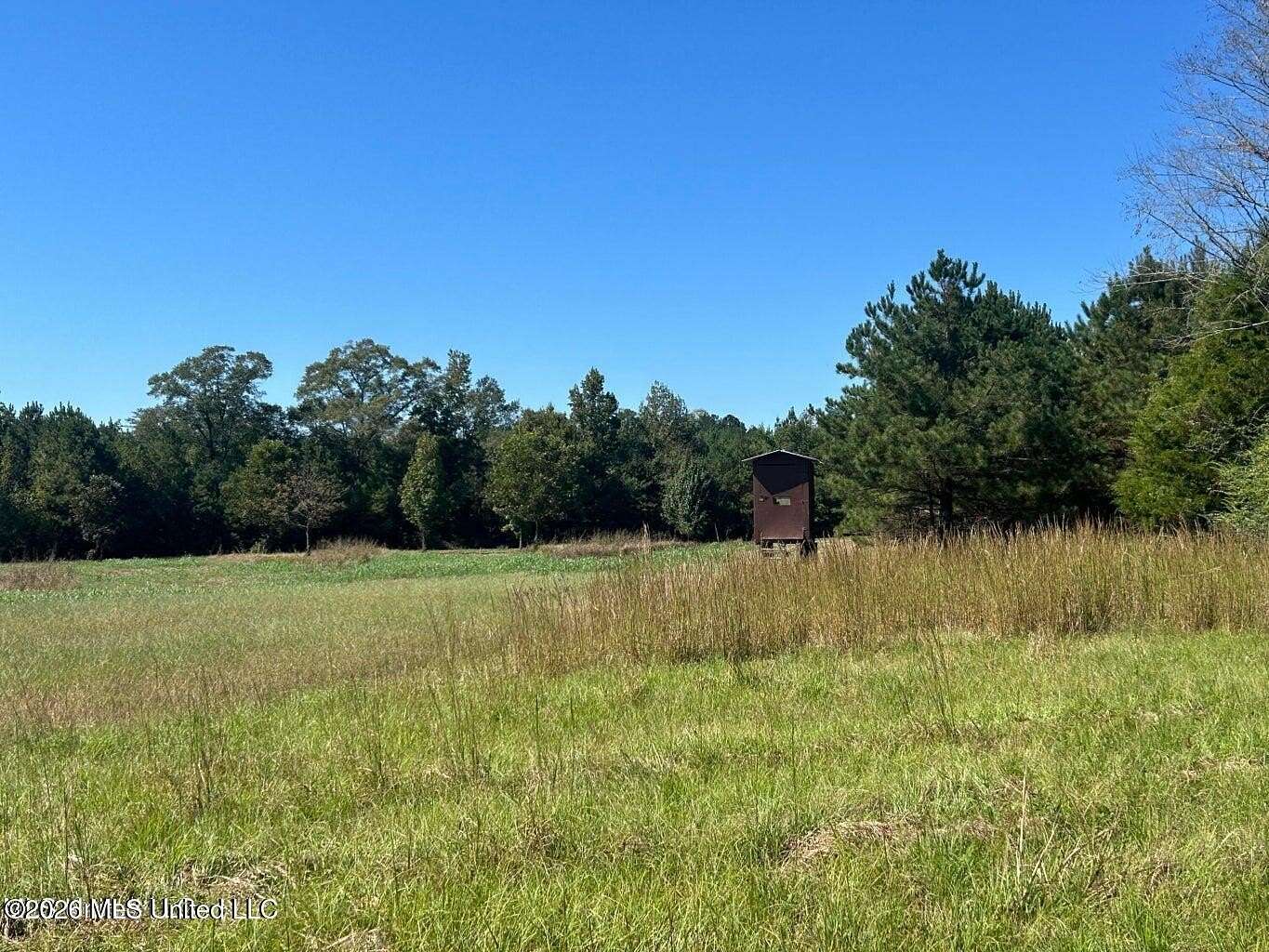 85 Acres of Agricultural Land for Sale in Meridian, Mississippi