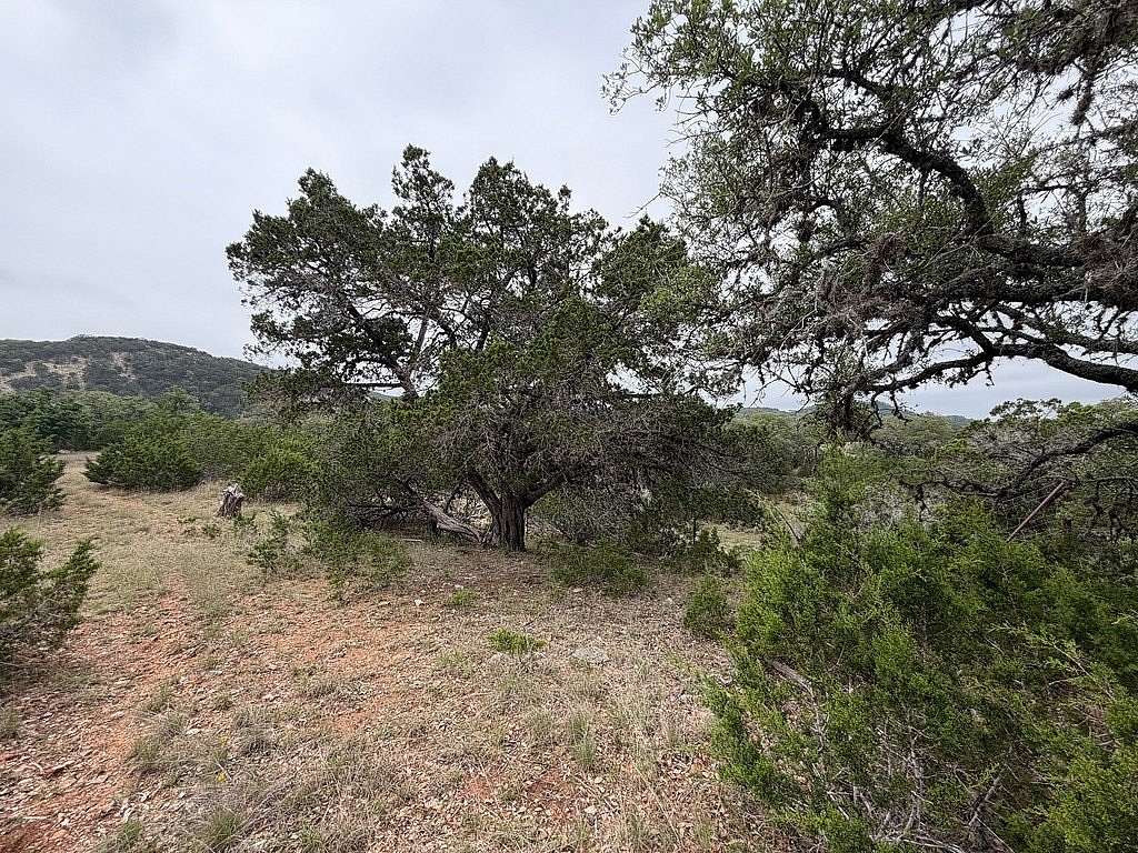 23.4 Acres of Agricultural Land for Sale in Comfort, Texas