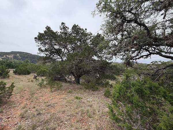 23.4 Acres of Agricultural Land for Sale in Comfort, Texas