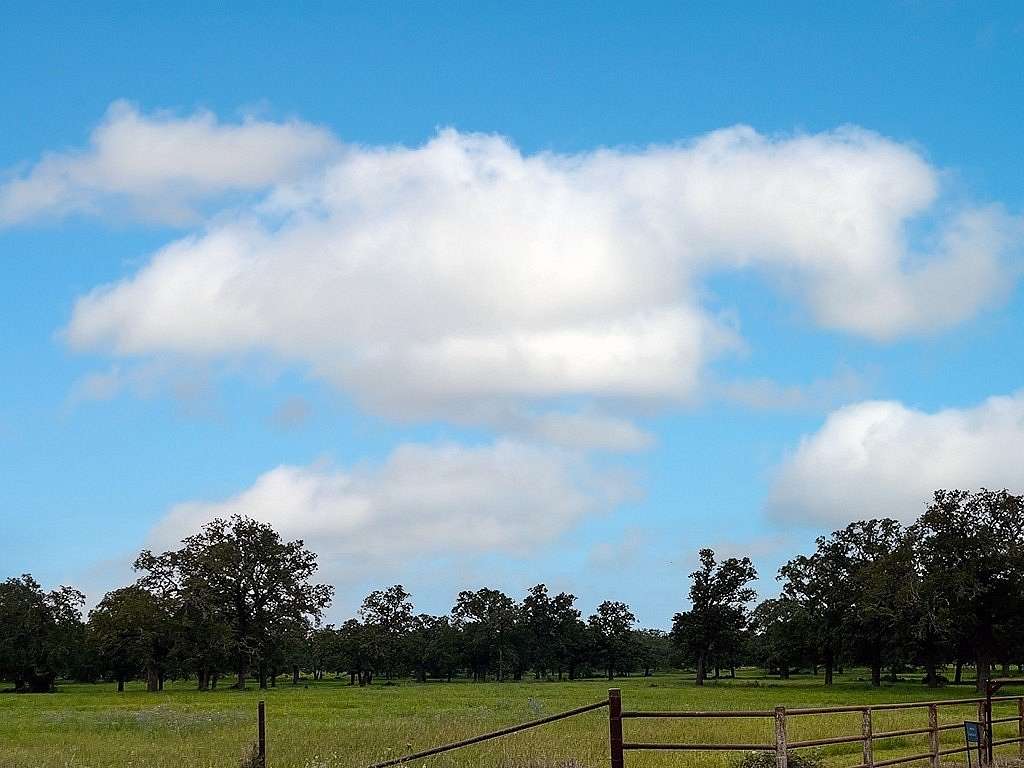 27.5 Acres of Land for Sale in Ledbetter, Texas