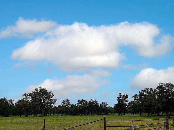 27.5 Acres of Land for Sale in Ledbetter, Texas