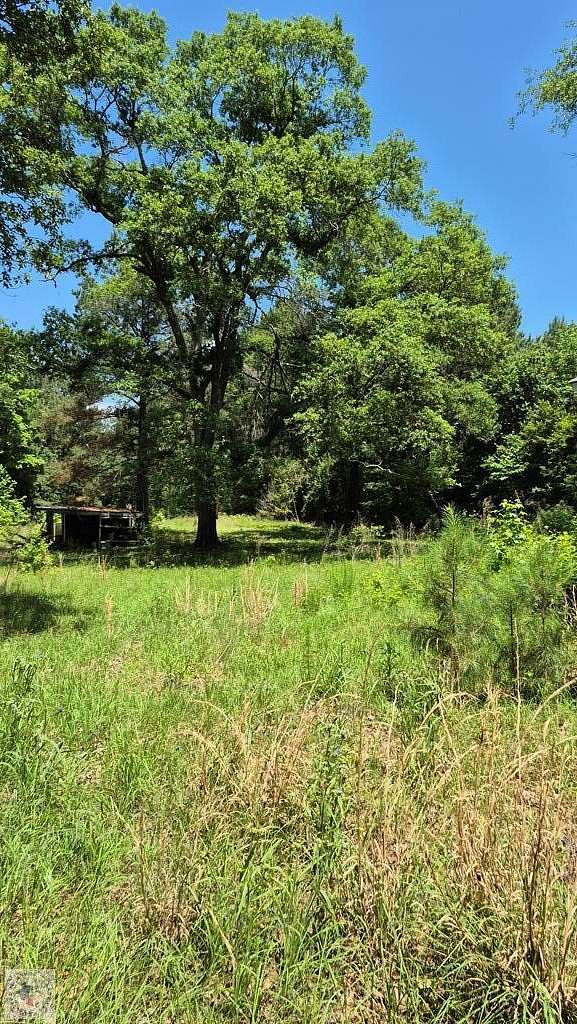 17.5 Acres of Land for Sale in Bloomburg, Texas