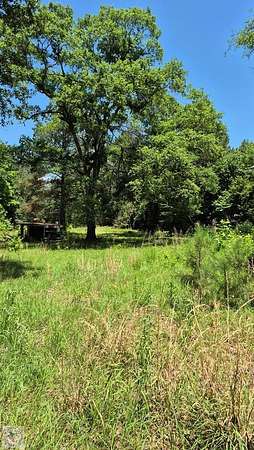 17.5 Acres of Land for Sale in Bloomburg, Texas