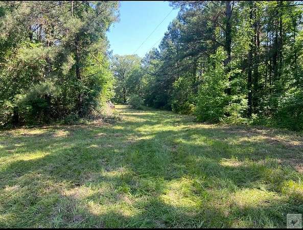 17.5 Acres of Land for Sale in Bloomburg, Texas