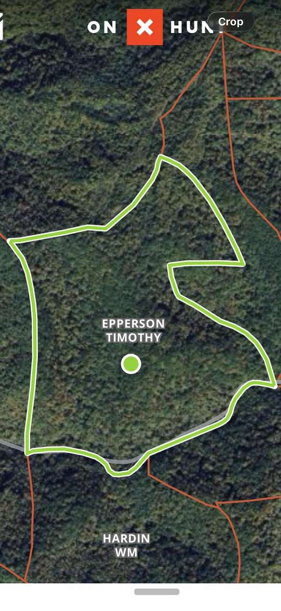 100 Acres of Recreational Land for Sale in Clayhole, Kentucky