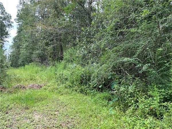 Residential Land for Sale in Covington, Louisiana