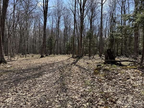 5 Acres of Residential Land for Sale in L'Anse, Michigan