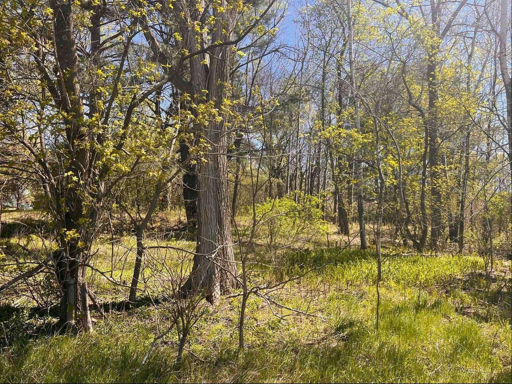 0.64 Acres of Residential Land for Sale in St. Croix Falls, Wisconsin