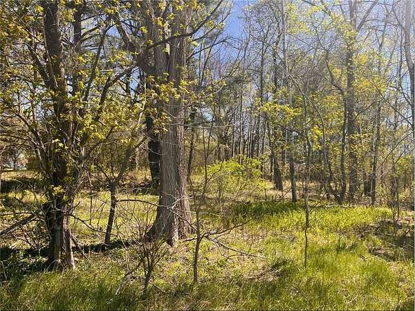 0.64 Acres of Residential Land for Sale in Eureka Town, Wisconsin