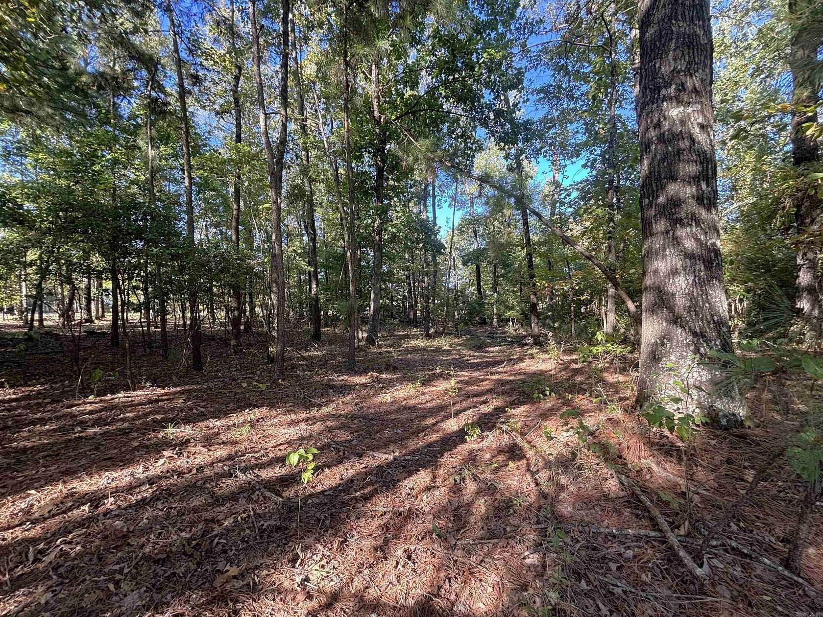 0.55 Acres of Residential Land for Sale in Sheridan, Arkansas
