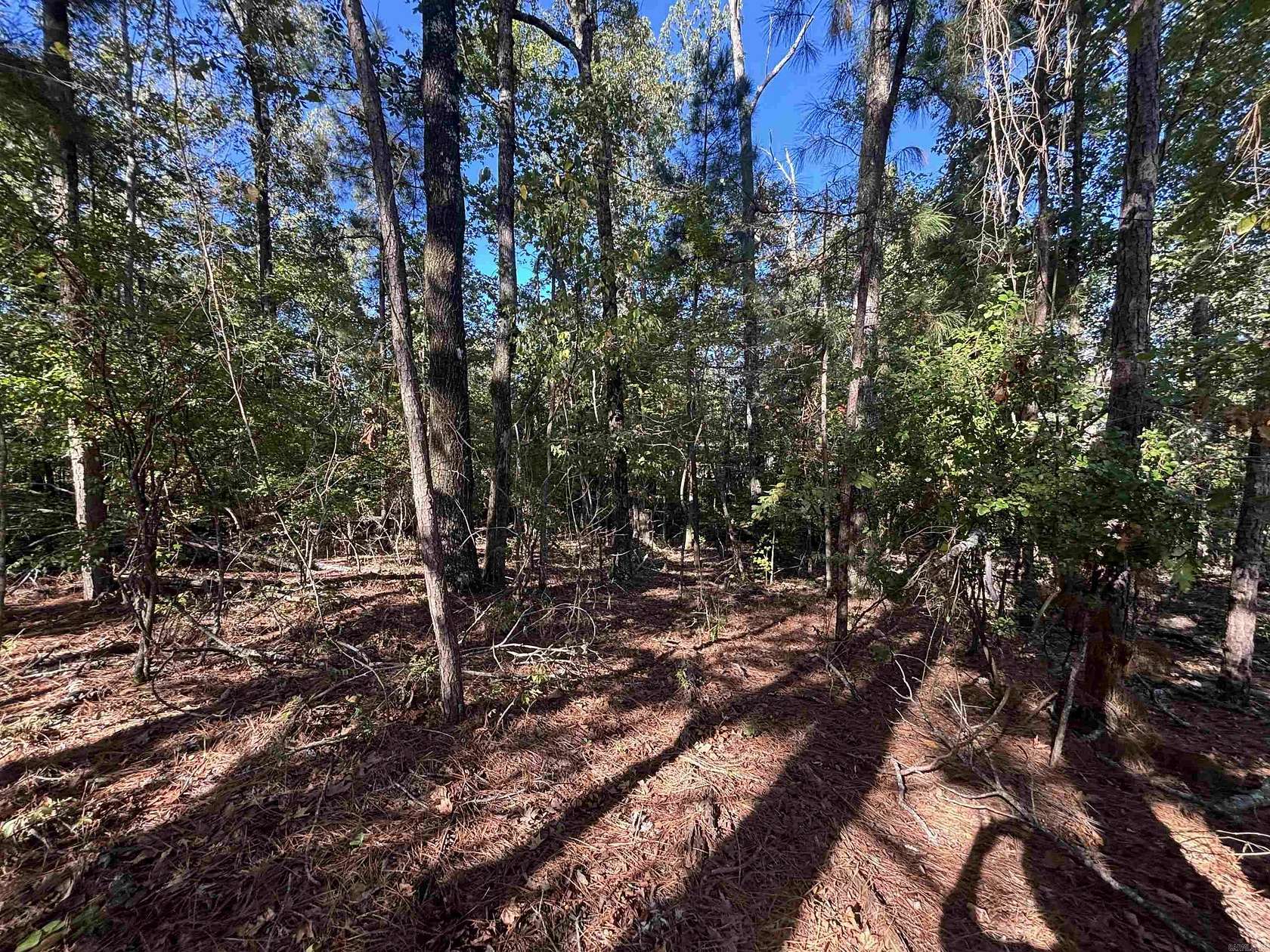 0.55 Acres of Residential Land for Sale in Sheridan, Arkansas