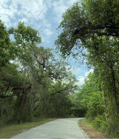 3.1 Acres of Residential Land for Sale in Webster, Florida