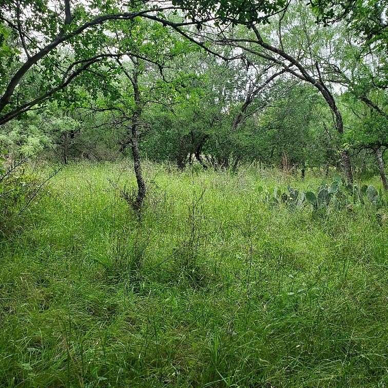 0.23 Acres of Residential Land for Sale in Granite Shoals, Texas