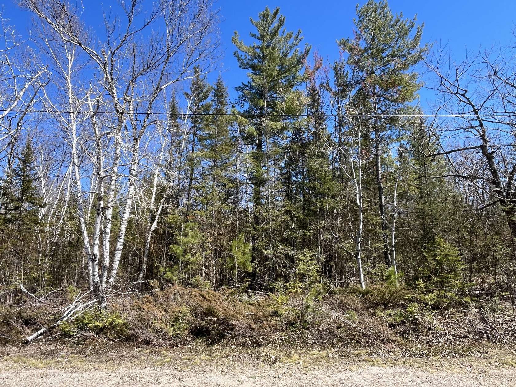 0.33 Acres of Residential Land for Sale in Presque Isle, Michigan