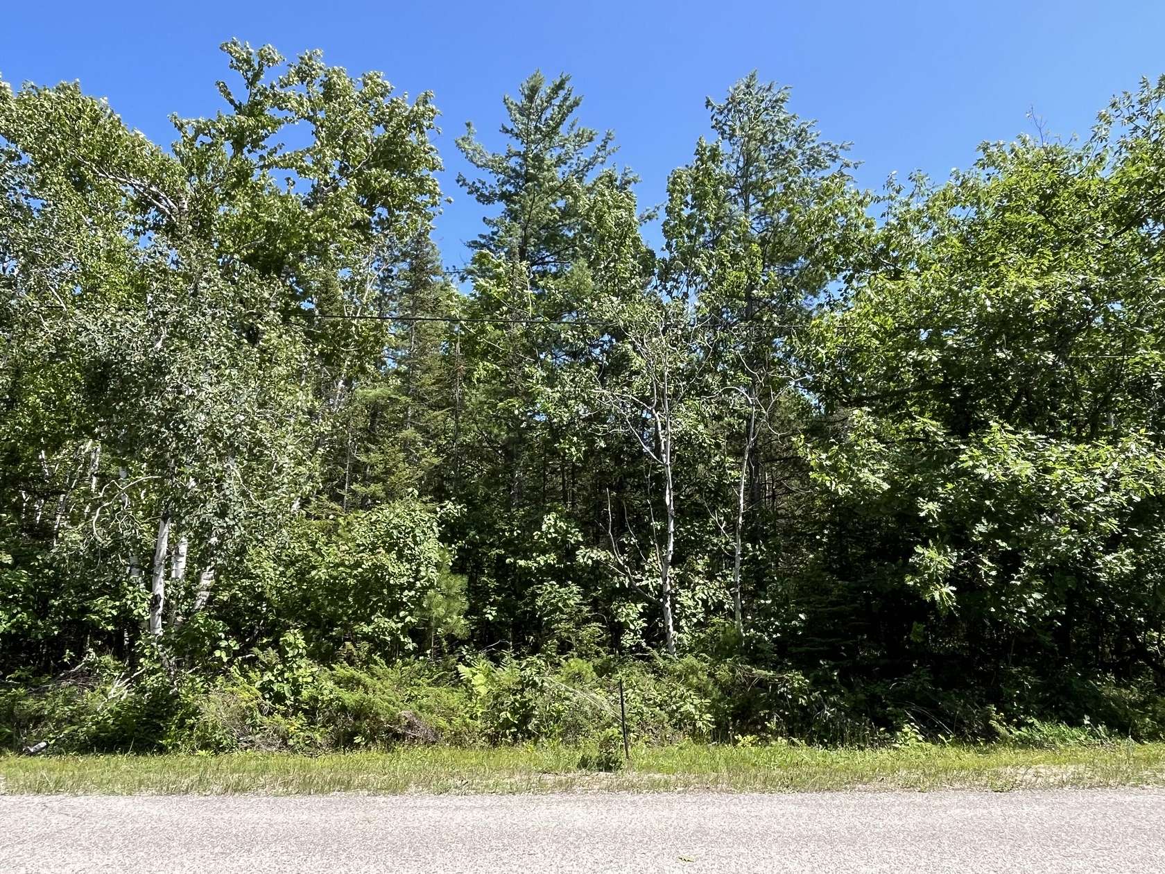 0.33 Acres of Residential Land for Sale in Presque Isle, Michigan