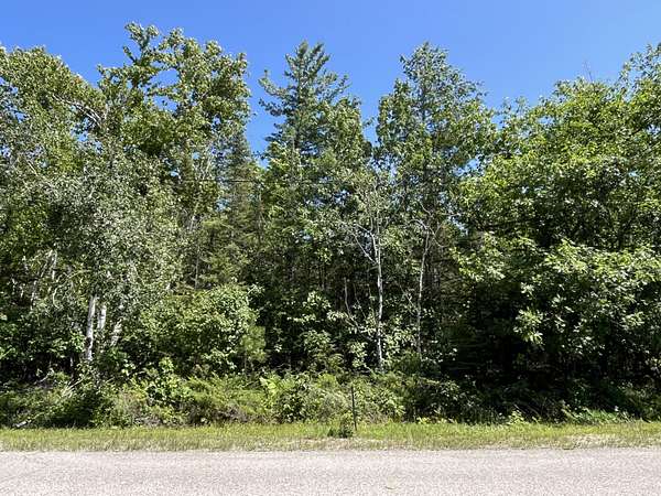 0.33 Acres of Residential Land for Sale in Presque Isle, Michigan