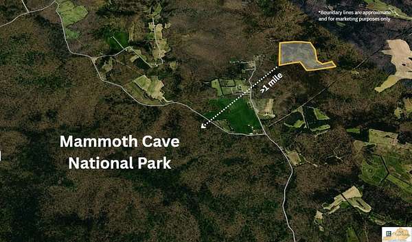 53.6 Acres of Recreational Land for Sale in Cave City, Kentucky