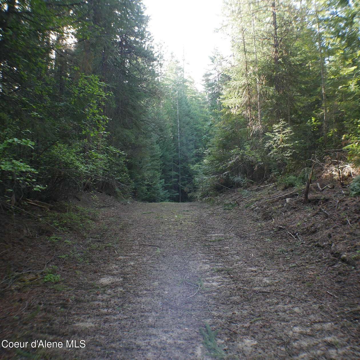 5 Acres of Land for Sale in Fernwood, Idaho