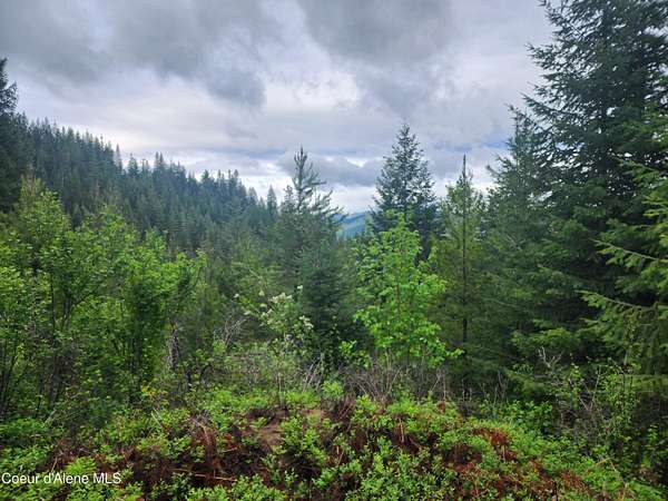 5 Acres of Land for Sale in Fernwood, Idaho