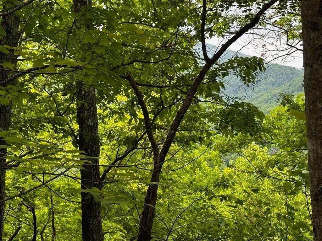1.36 Acres of Land for Sale in Hayesville, North Carolina
