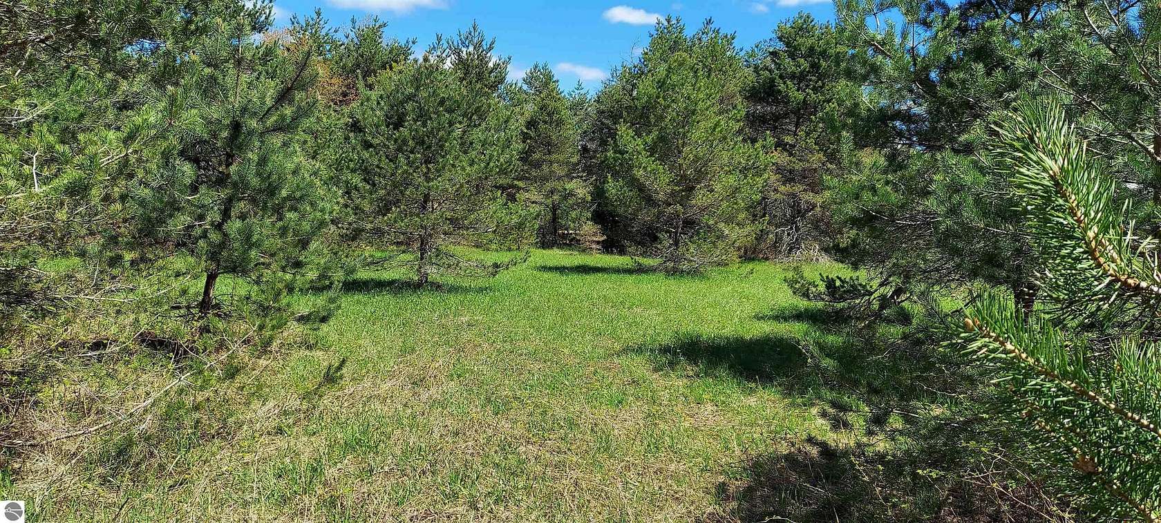 5 Acres of Land for Sale in Mancelona, Michigan