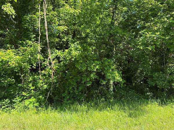 86 Acres of Recreational & Residential Land for Sale in Smiths Grove, Kentucky