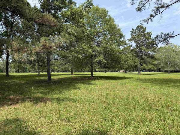 5.38 Acres of Residential Land for Sale in Kountze, Texas