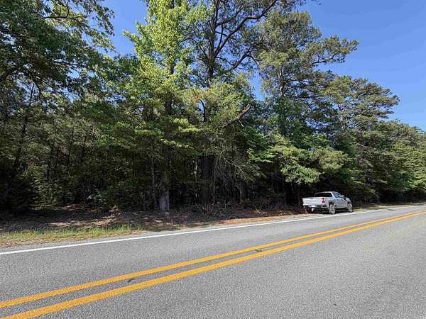 52.5 Acres of Recreational & Residential Land for Sale in Hermitage, Arkansas
