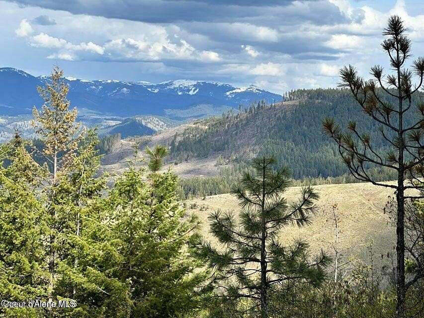 10 Acres of Recreational Land for Sale in Plummer, Idaho