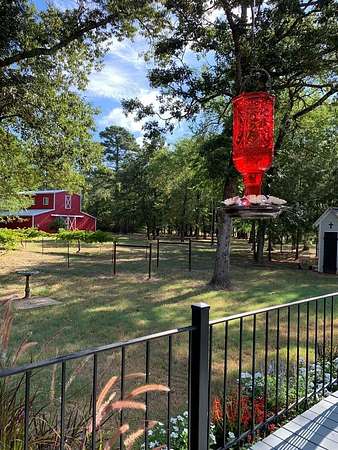 11.5 Acres of Land with Home for Sale in Grapeland, Texas