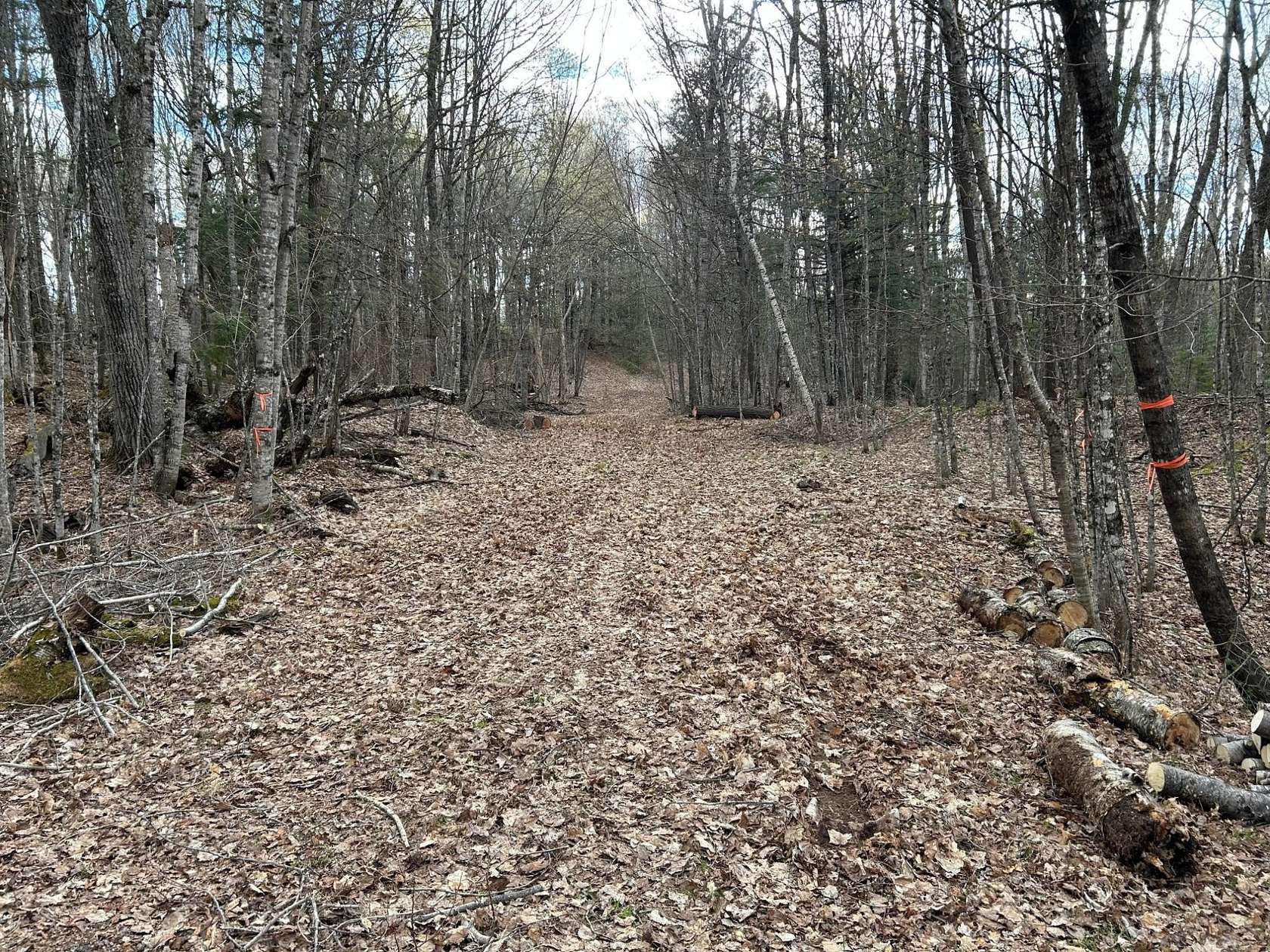 3.39 Acres of Land for Sale in Presque Isle, Wisconsin